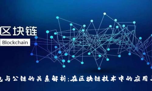 tp钱包与公链的关系解析：在区块链技术中的应用与选择