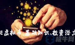 深入了解BSE虚拟币：基础