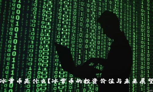 冰雪币是什么？冰雪币的投资价值与未来展望