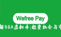 深入了解BRA虚拟币：投资
